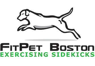 FitPet Boston – Dog Walking Services – Medford, Winchester